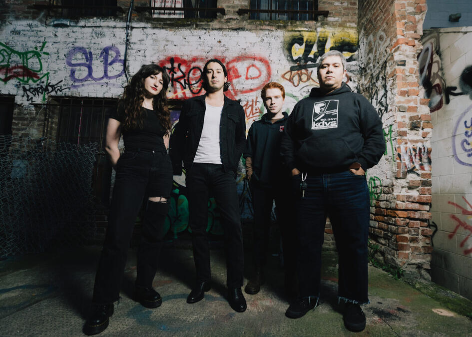 THE SNARES THE SNARES